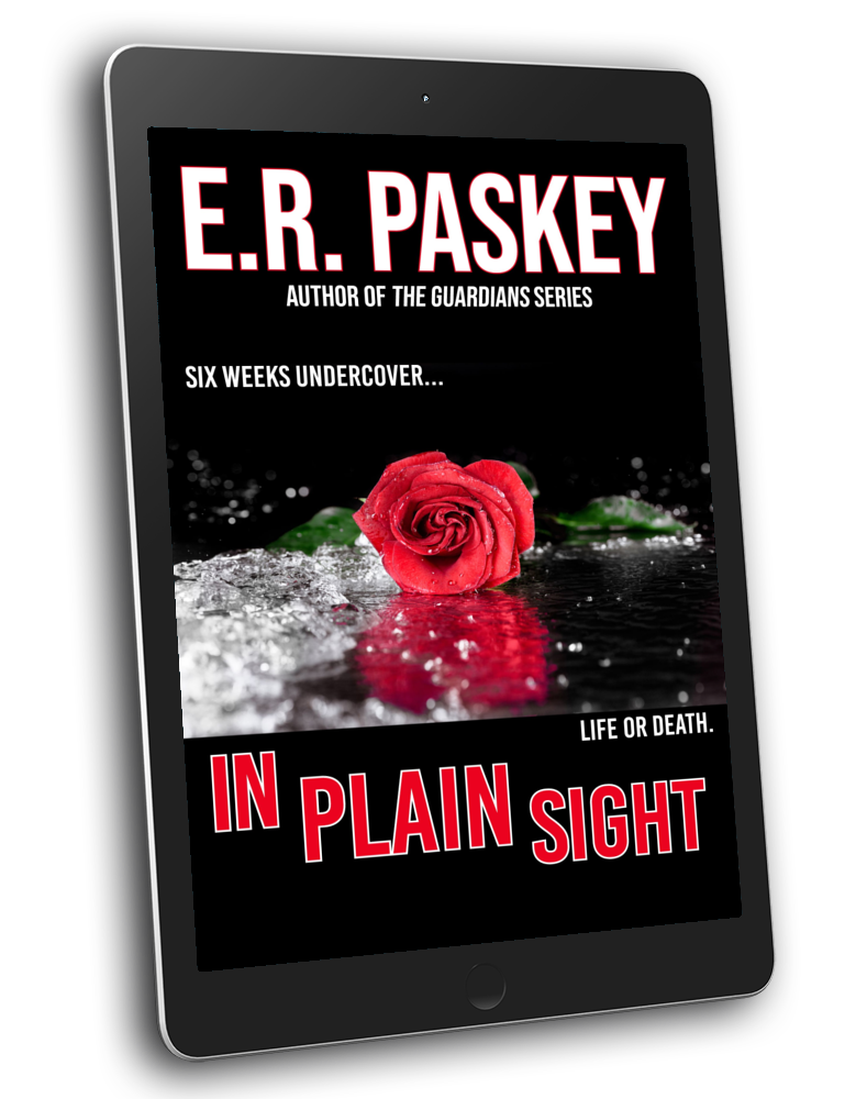 In Plain Sight: A Christian Mystery & Suspense Novel